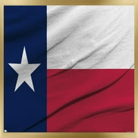Тексаски плакат за стена на флаг, 14.725 22.375 в рамка