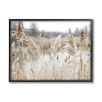 Ступел Индъстрис селски пампас трева тръстика езеро блато снимка Черно рамка изкуство печат стена изкуство, дизайн от Ким Алън