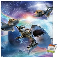 Джеймс Букър-плакат на стената на Галакси с котешки акули, 22.375 34